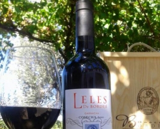  bicchiere di vino con bottiglia